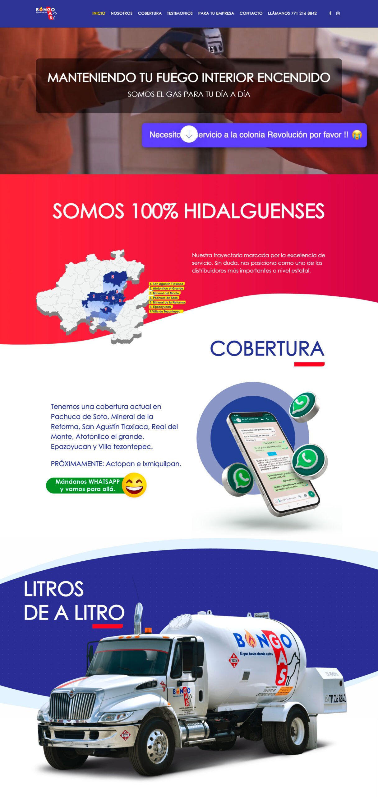 bongoweb