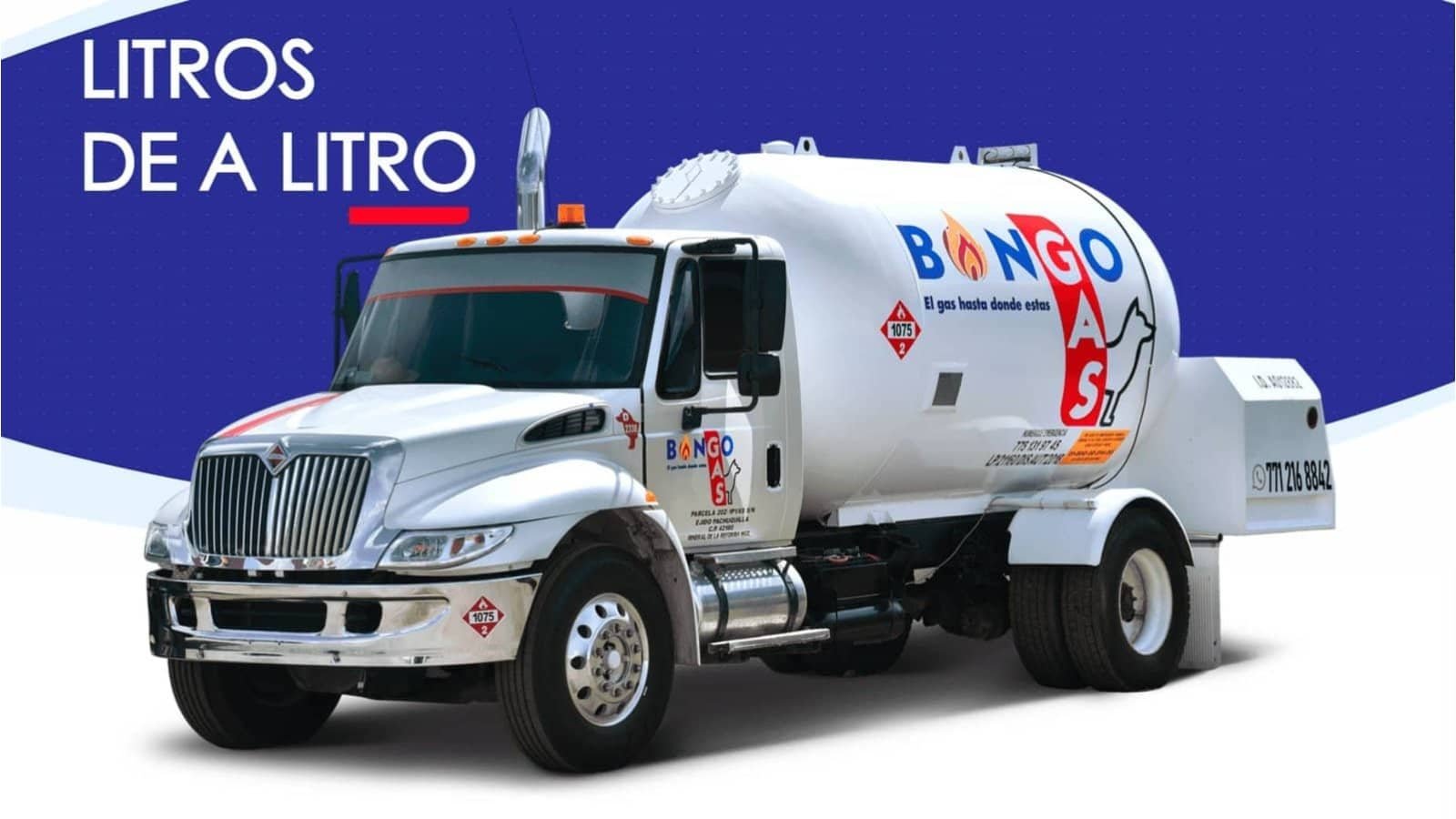 portada-bongo-gas-hd-low2025
